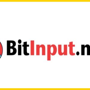 Bitinput.net