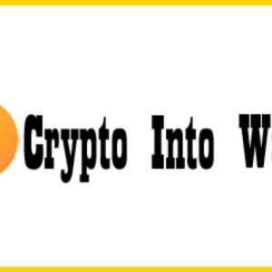 Cryptointowallet.com