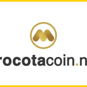 Morocotacoin.news