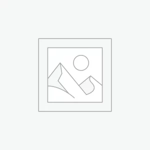 The Bitcoin News